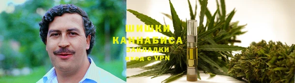 крисы Богородск