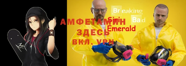 крисы Богородск