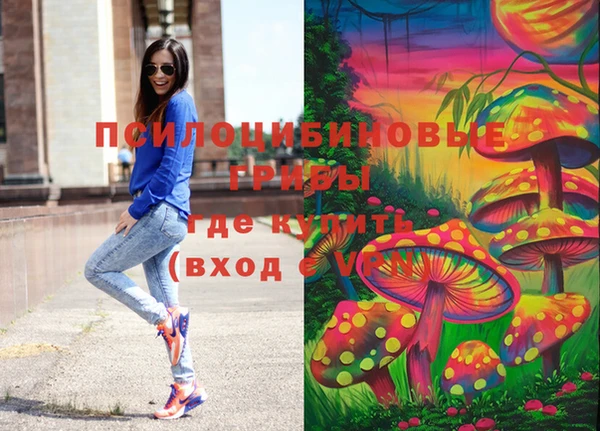 COCAINE Богородицк