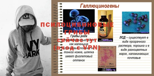 COCAINE Богородицк