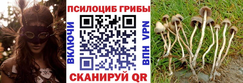 Псилоцибиновые грибы мухоморы  где продают   Самара 